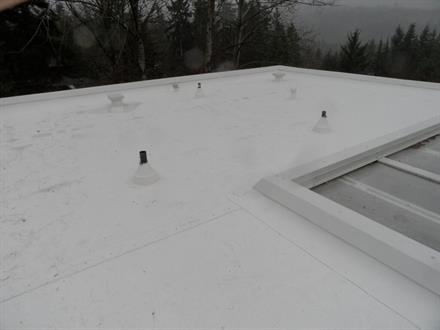 PVC Roof in Bellevue