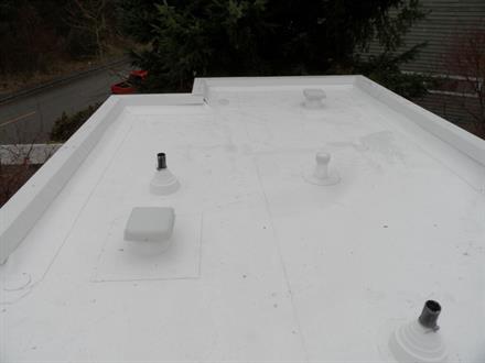 PVC Roof and Flashing

